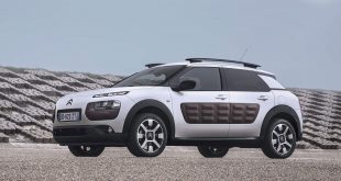 C4 Cactus
